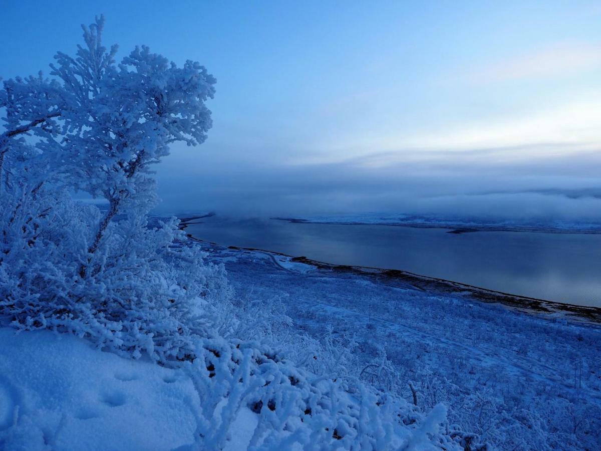 Varangertunet Bed & Breakfast Jakobselv Экстерьер фото